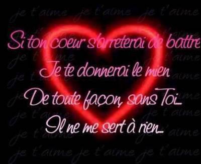 pour ma puce